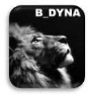 B_Dyna